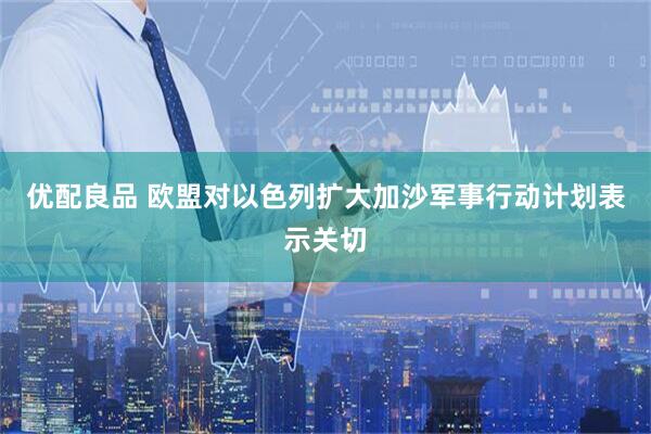 优配良品 欧盟对以色列扩大加沙军事行动计划表示关切