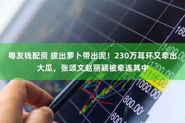 粤友钱配资 拔出萝卜带出泥！230万耳环又牵出大瓜，张颂文赵丽颖被牵连其中