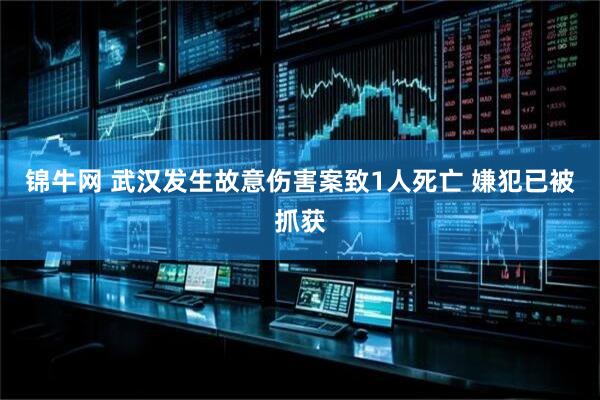 锦牛网 武汉发生故意伤害案致1人死亡 嫌犯已被抓获