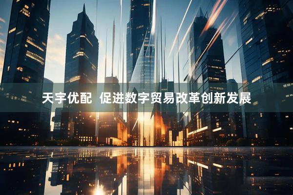 天宇优配  促进数字贸易改革创新发展