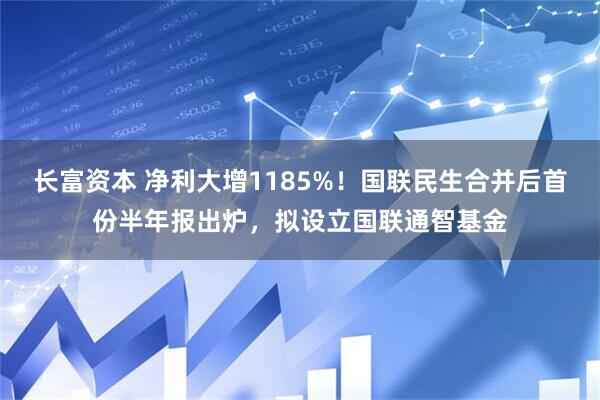 长富资本 净利大增1185%！国联民生合并后首份半年报出炉，拟设立国联通智基金