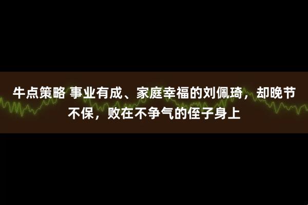 牛点策略 事业有成、家庭幸福的刘佩琦，却晚节不保，败在不争气的侄子身上
