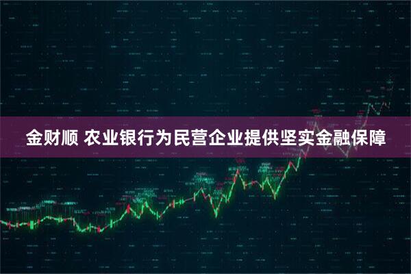 金财顺 农业银行为民营企业提供坚实金融保障